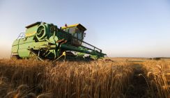 Крематории нашим аграриям не помогут