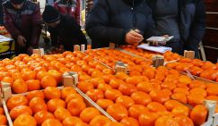 Зараженные мандарины из Турции или здоровые из Абхазии