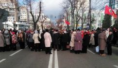 Стариков Кубани довели до отчаяния