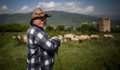 Осетинский ответ Америке