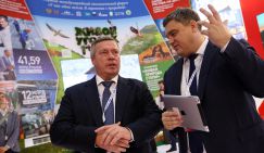 Лихорадка после выборов