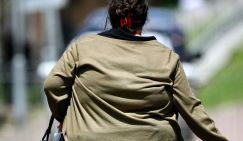 Самые «толстые» регионы России