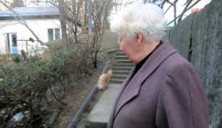 Пенсионерку трижды от смерти спасали собаки