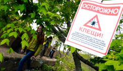 Аномальное нашествие клещей на Юге