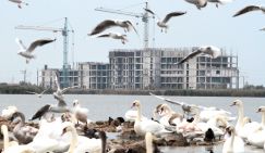 Накопить на квартиру в Крыму жизни не хватит